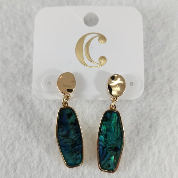 Charming Charlie Jewelry - Charming Charlie Earrings #198